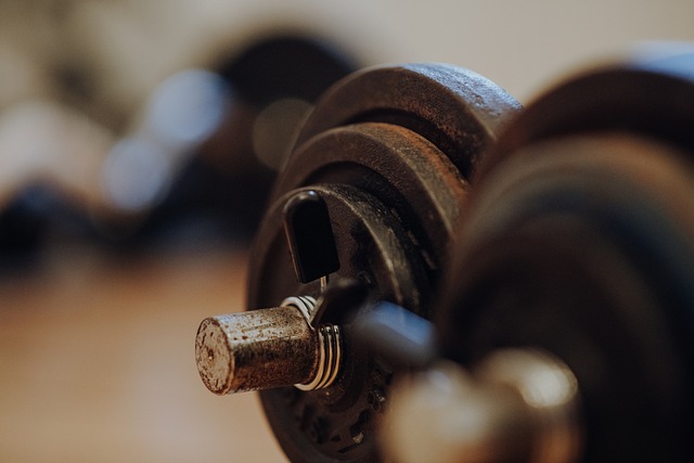 Exercícios para Costas: 8 dicas para o seu treino 1 Exercícios para Costas 8 dicas para o seu treino