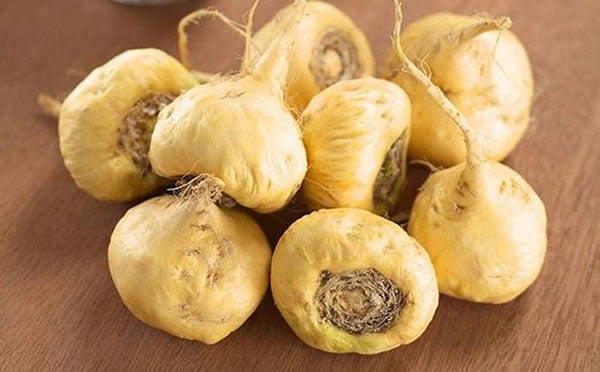 Alimentos afrodisiacos para melhorar desempenho sexual 3 maca peruana como tomar