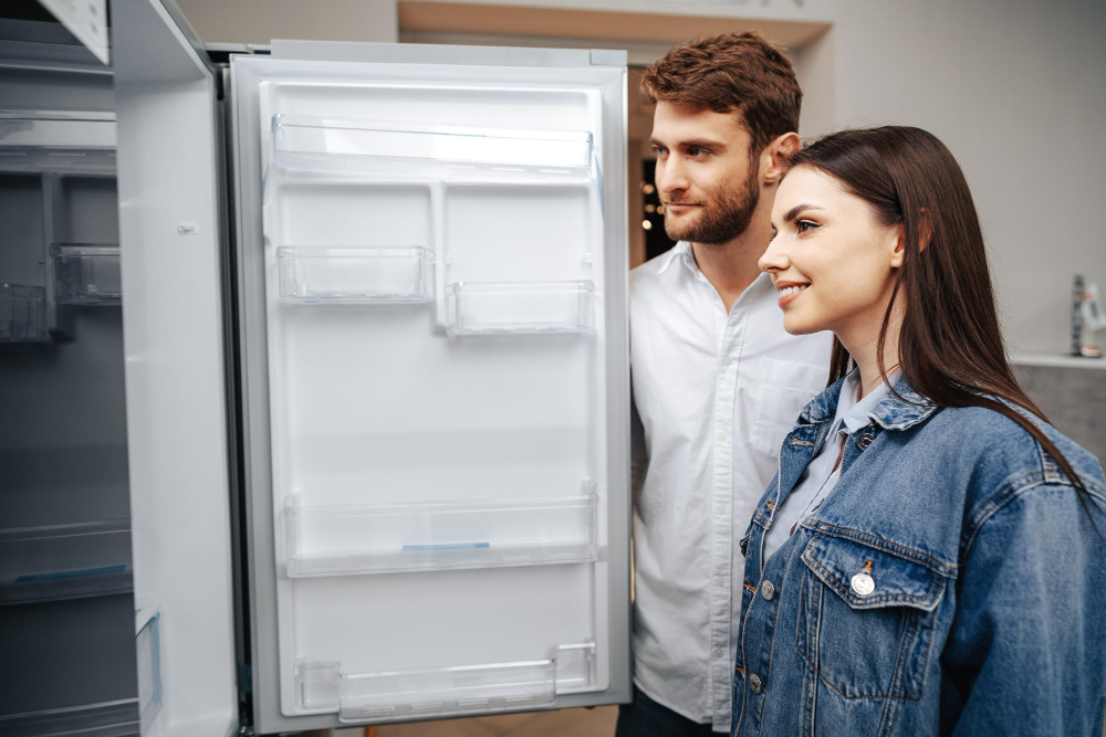 Como limpar a geladeira por dentro? 4 geladeira Inverse